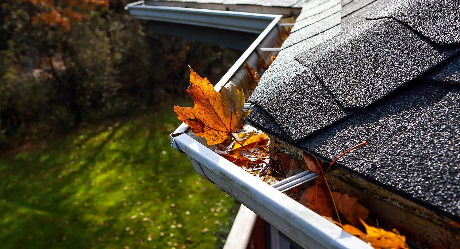 Mark Daily Handyman Services